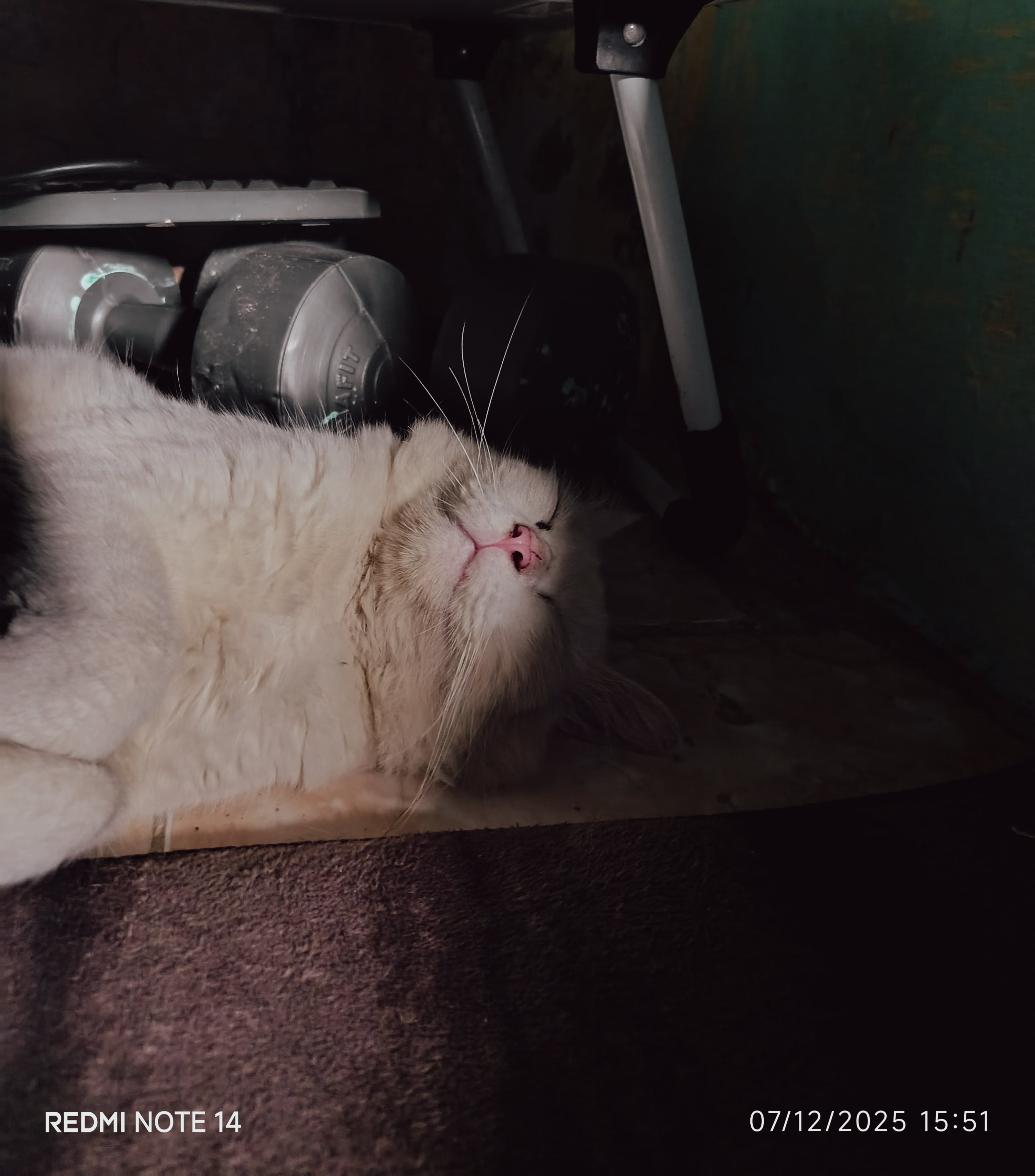 Memory Photo 19