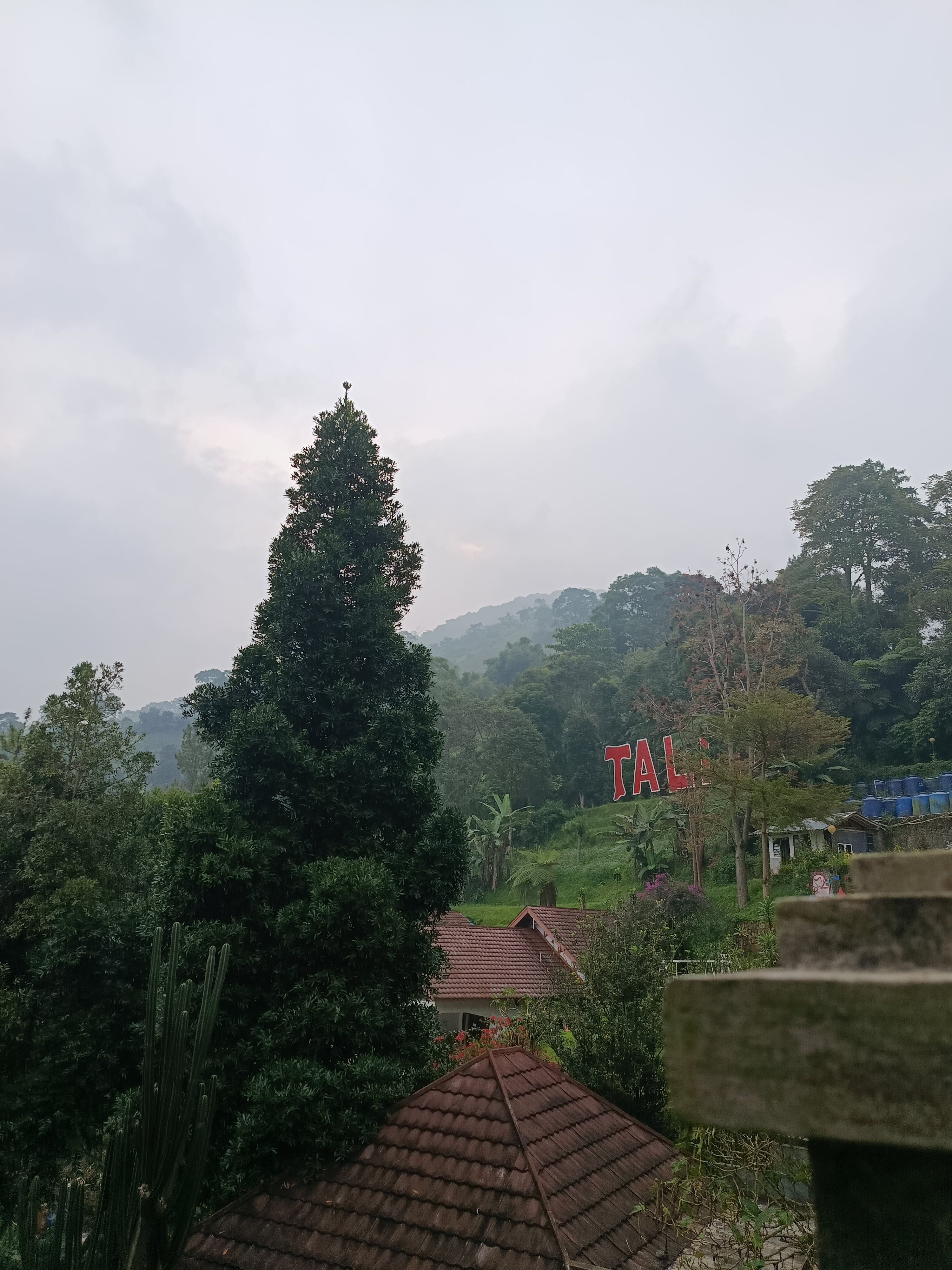 Memory Photo 26