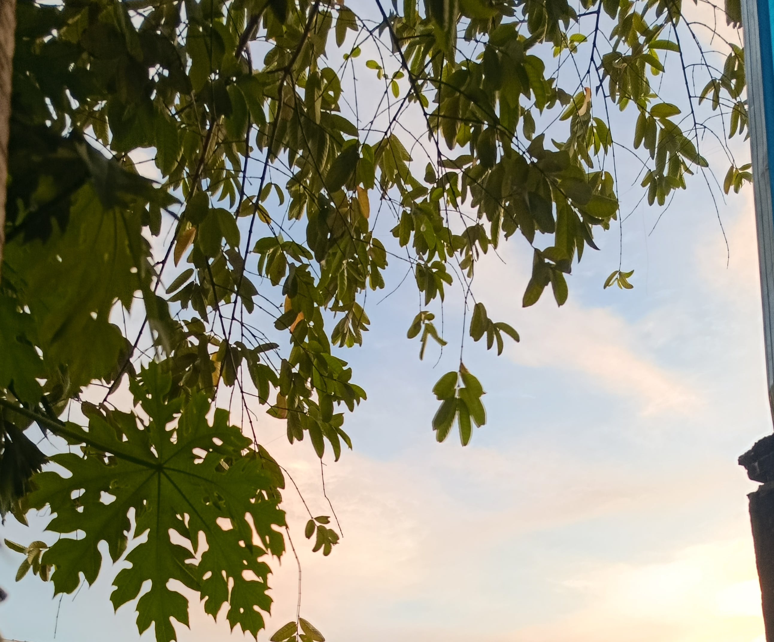 Memory Photo 6